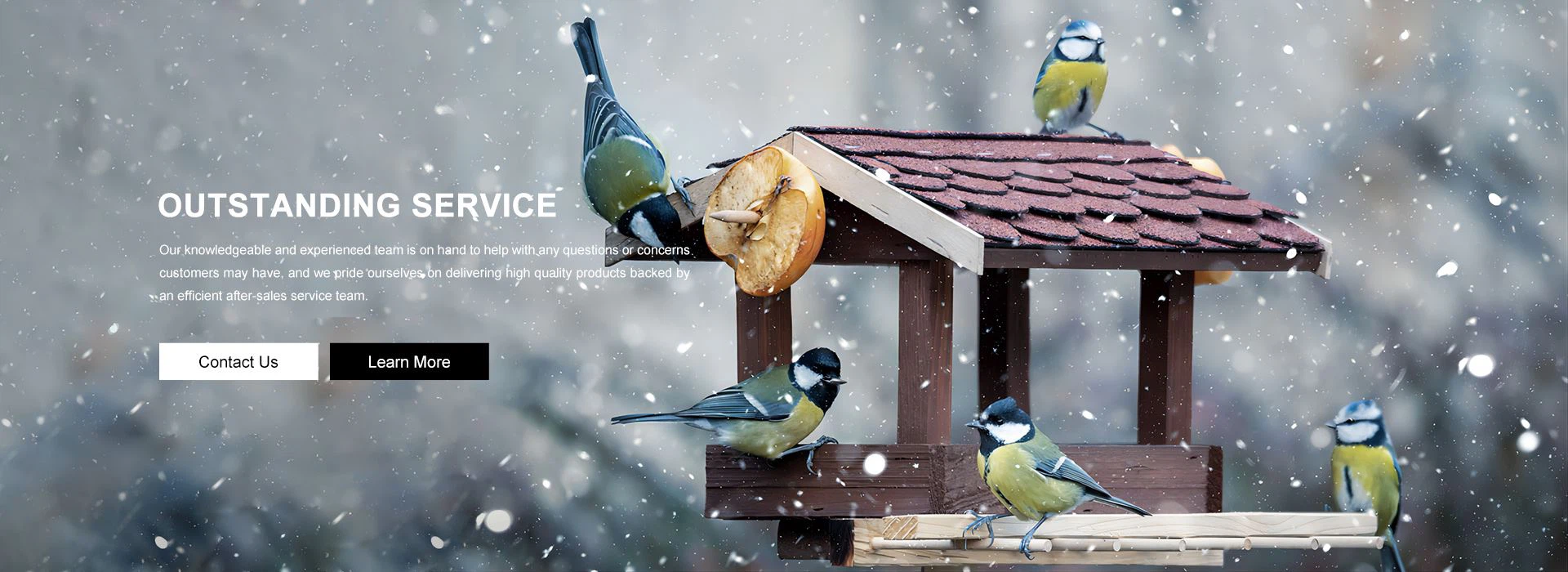 bird feeder supplies